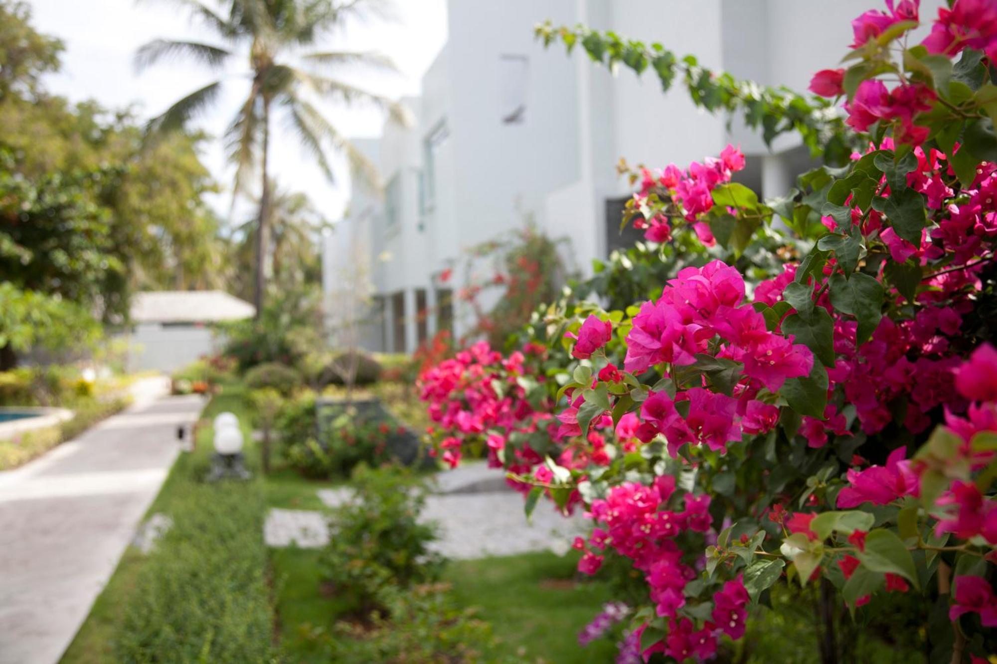 Absolute Beachfront Villa Ban Huai Yang エクステリア 写真